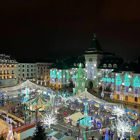 Garsoniera Decomandata Mcdonalds Apartment Craiova