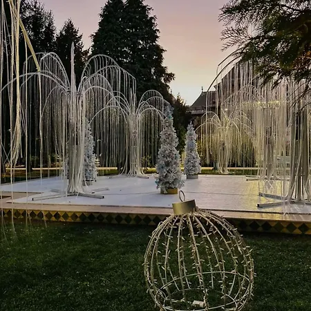 Garsoniera Decomandata Mcdonalds Craiova