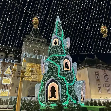 Apartment Garsoniera Decomandata Mcdonalds