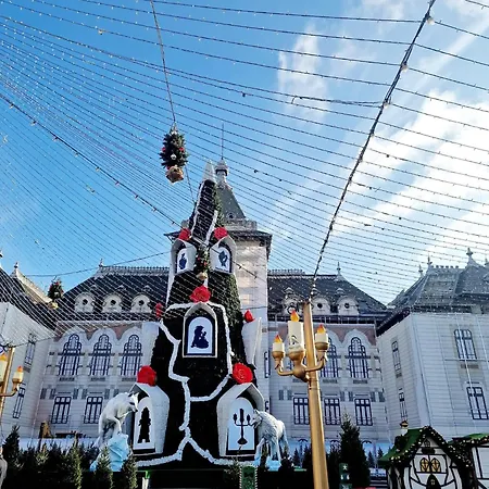 Garsoniera Decomandata Mcdonalds Apartment *