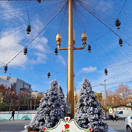 Garsoniera Decomandata Mcdonalds Apartment