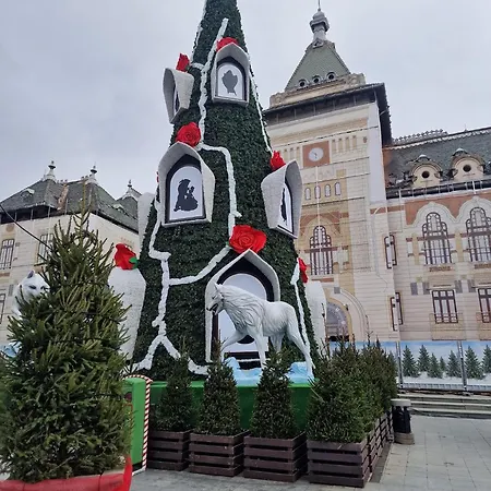 Apartment Garsoniera Decomandata Mcdonalds