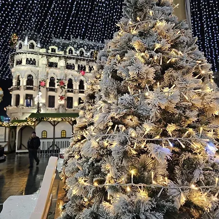 Garsoniera Decomandata Mcdonalds Apartment *