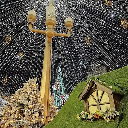 Garsoniera Decomandata Mcdonalds Apartment *