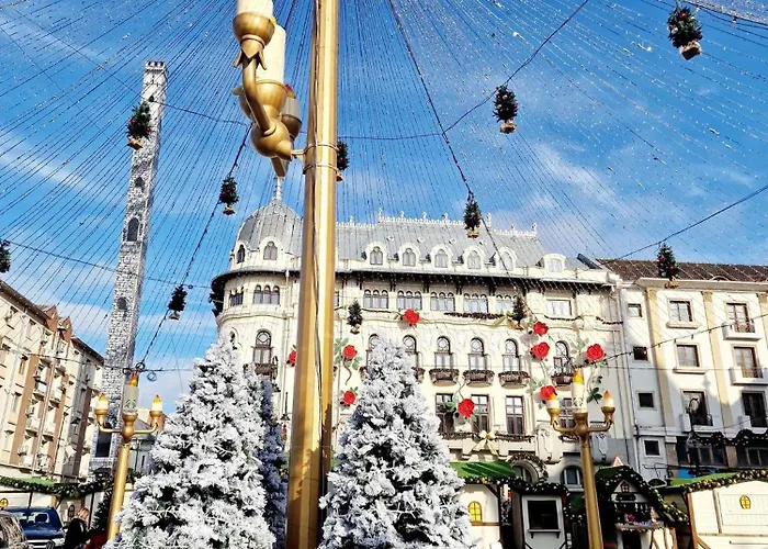 Garsoniera Decomandata Mcdonalds