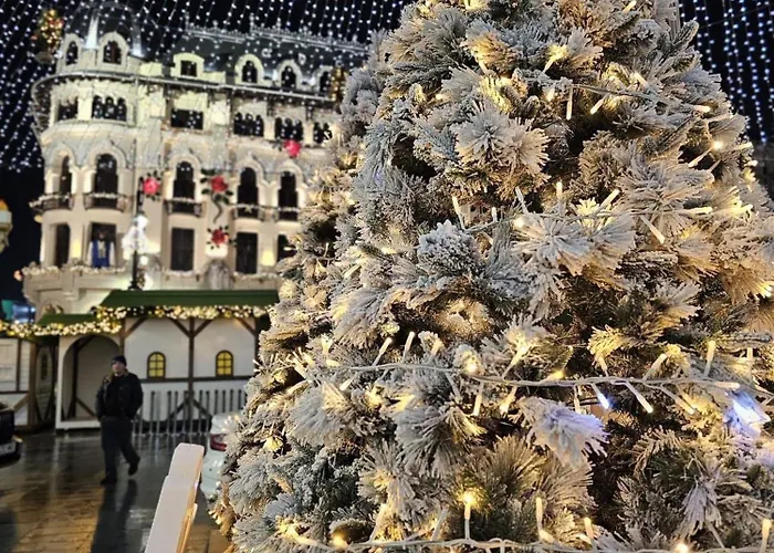 Garsoniera Decomandata Mcdonalds Διαμέρισμα *